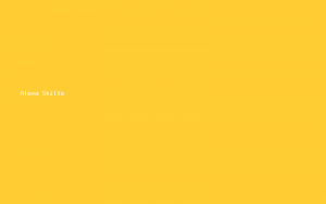 Alexa Skills 智能语音与电商平台开发
